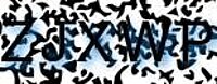 grafischer Sicherheitscode