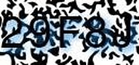 grafischer Sicherheitscode