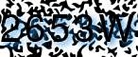 grafischer Sicherheitscode