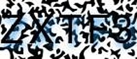 grafischer Sicherheitscode